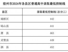 宿州市2024年普通高中录取最低控制线公布（附埇桥区成绩分档表）