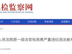 区法院原法官张西勇严重违纪违法被开除党籍和公职！