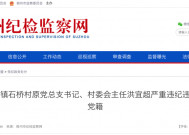 洪宜超严重违纪违法被开除党籍！原萧县祖楼镇石桥村原党总支书记、村委会主任……