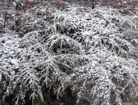 宿州2024年第一场雪！但接下来更刺激……